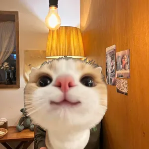 구름식당 리뷰 사진