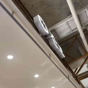 간코 대표 사진