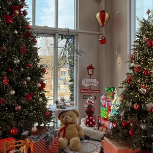 장고목 리뷰 사진