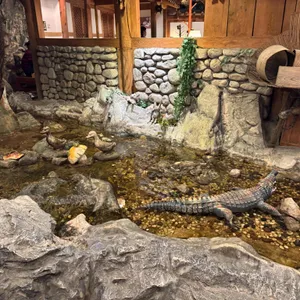 채선당 자연한가득 리뷰 사진