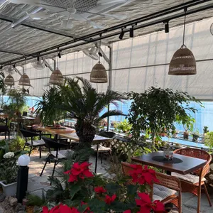 노시즌 리뷰 사진