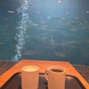 투썸플레이스 리뷰 사진