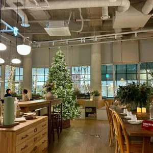 루드베키아 리뷰 사진