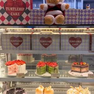 터틀힙 리뷰 사진