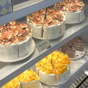 터틀힙 리뷰 사진