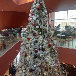 스코그 리뷰 사진