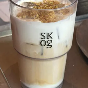 스코그 대표 사진