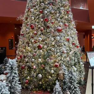 스코그 리뷰 사진