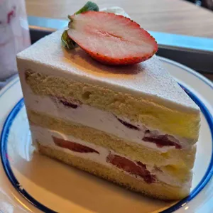 커닝 대표 사진