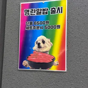 미돈집 리뷰 사진