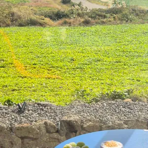 소색채본 리뷰 사진