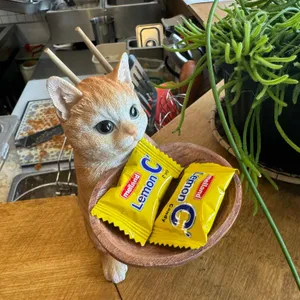 행운 리뷰 사진