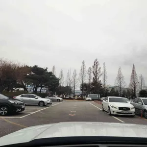 마주보다 리뷰 사진