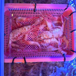 금성수산 리뷰 사진