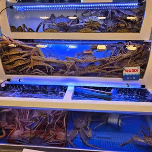 금성수산 리뷰 사진