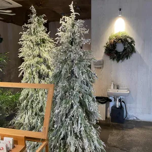 이씨씨커피 리뷰 사진