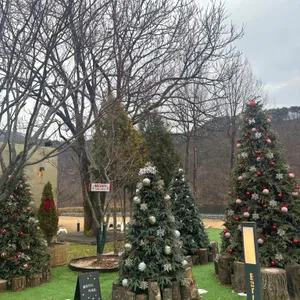 어스17 리뷰 사진