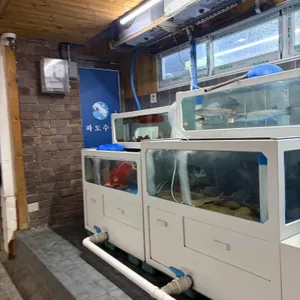 파도수산 리뷰 사진