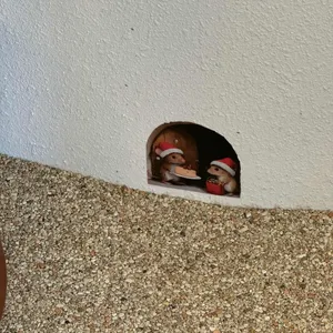 위치앤샐러 리뷰 사진