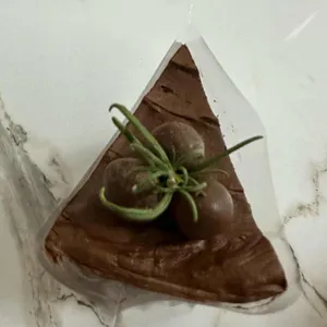 케이키 대표 사진