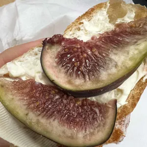 요미조미 사진 1