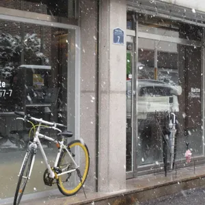 나이테 리뷰 사진