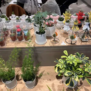 그리니쉬 가드닝 카페 리뷰 사진