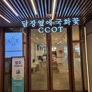 담장옆에국화꽃CCOT 리뷰 사진