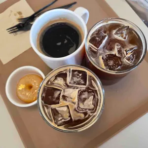 담장옆에국화꽃CCOT 사진