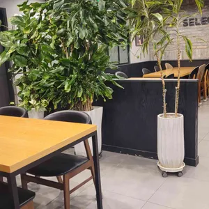 셀렉토커피 리뷰 사진