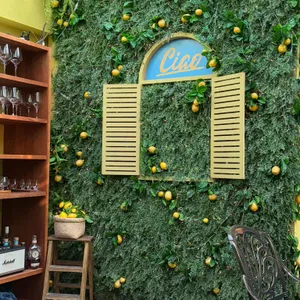 쇼니노 대표 사진