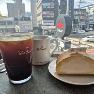 폴 바셋 대표 사진