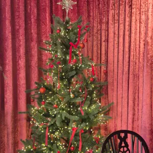 오브도레 드 펌킨스 리뷰 사진