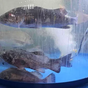 바다생협 대광어 리뷰 사진