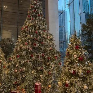 조앤도슨 리뷰 사진