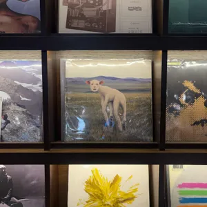 바이닐 리뷰 사진