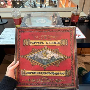 바이닐 리뷰 사진