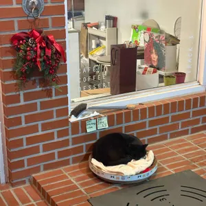 TRACK3 리뷰 사진