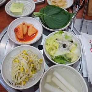 조가네갑오징어 사진