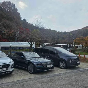 조가네갑오징어 리뷰 사진