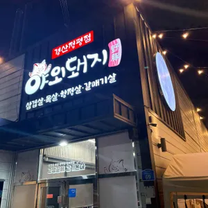 야외돼지 리뷰 사진