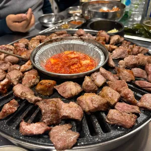 야외돼지 사진