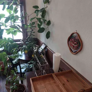 이미양과자 리뷰 사진