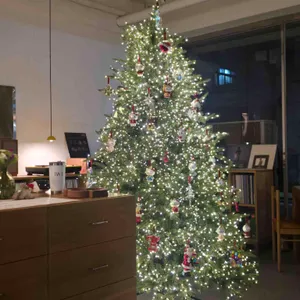 IWLT SEOUL 리뷰 사진