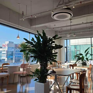 냐냐 대표 사진