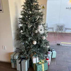 무화커피 리뷰 사진