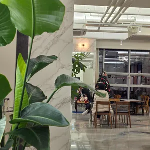 더송스하우스 리뷰 사진