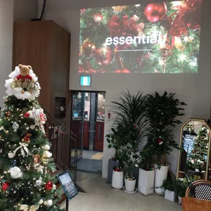 더송스하우스 리뷰 사진