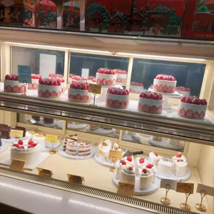 콜렉티보 사진 2