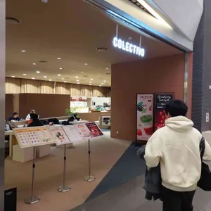 콜렉티보 리뷰 사진